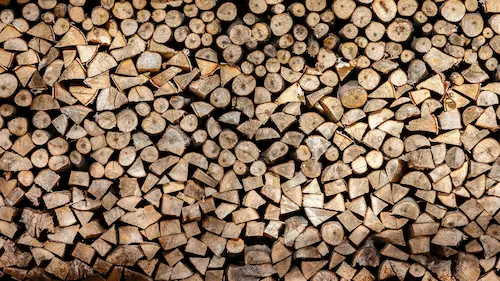 Feuerholz im Wald